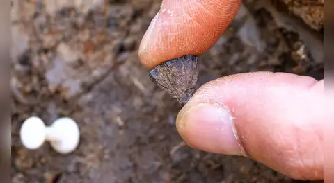 Dos piedras pequeñas descubiertas en Inglaterra podrían cambiar la historia de la humanidad