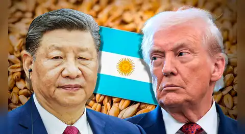 China desafía a EE.UU. y compra 65.000 toneladas de trigo argentino por primera vez en décadas mientras Milei baja aranceles