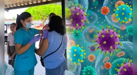 Influenza H3N2 subclado K en Perú: ¿cómo diferenciar el nuevo virus de una gripe común?