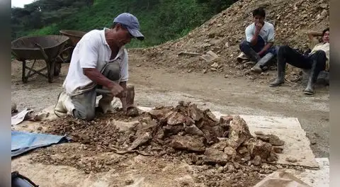 Reinfo será ampliado hasta 2026: el círculo vicioso de extensiones y los desafíos del sector minero