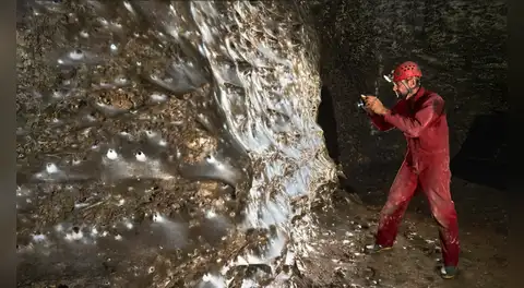 Tiene una extensión de 106 metros cuadrados, abarca dos países de Europa y es el hogar de más de 111.000 arañas