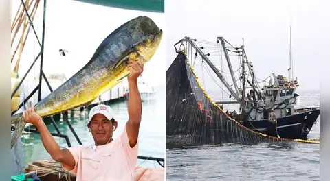 Perú sufre fuerte golpe exportador tras decisión de EE.UU. de bloquear pesca de perico por daño ambiental de redes