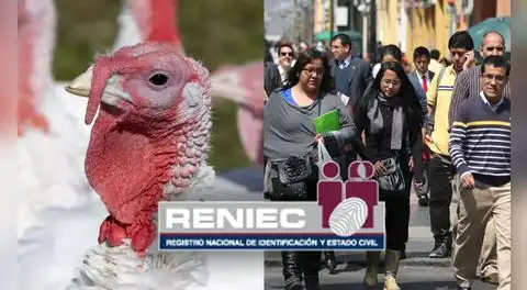 Pavo, Guirnalda, Duende y Brindis: Reniec publica lista de nombres de peruanos inspirados en la Navidad