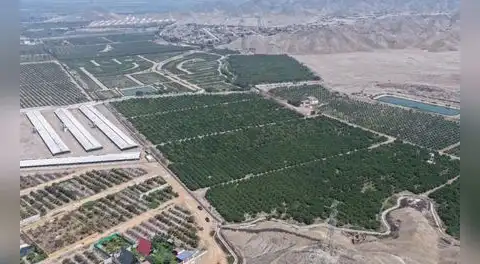 Eficaxx Grupo Inmobiliario alista inicio de proyecto en Huaral con inversión superior a US$7 millones