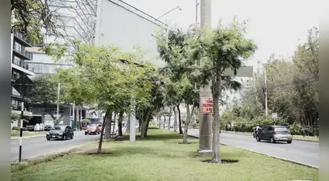 Al menos 30 mil m² de áreas verdes serían removidas por obras viales impulsadas por la Municipalidad de Lima