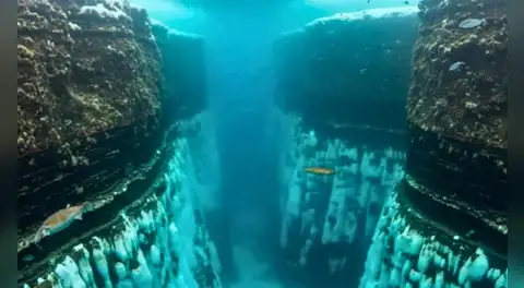 Científicos no salen del asombro: estudio revela cómo se forman los cañones submarinos y rompe teorías que creíamos ciertas