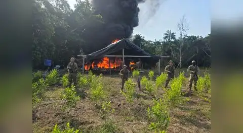 El narcotráfico y la minería ilegal han impactado en la Amazonía peruana