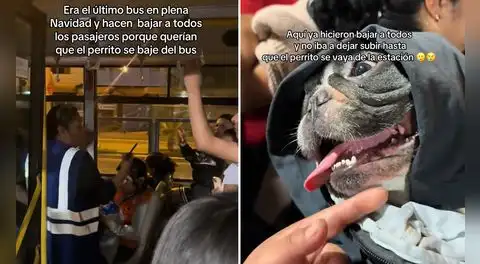 Joven aborda bus del Metropolitano con su perro e inspectora hace bajar a todos los pasajeros: "Era el último bus en plena Navidad"