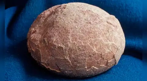 Científicos chinos abrieron un huevo de dinosaurio en busca de un embrión, pero descubrieron un tesoro brillante de 70 millones de años