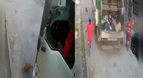 Perrito muere tras ser atropellado por camión de basura en SJL: municipalidad condenó el maltrato animal y separó a trabajadores