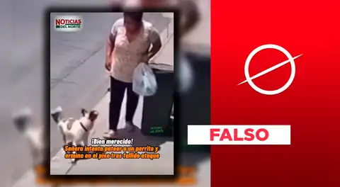 Video viral de mujer que cae tras intentar agredir a un perro fue creado con inteligencia artificial