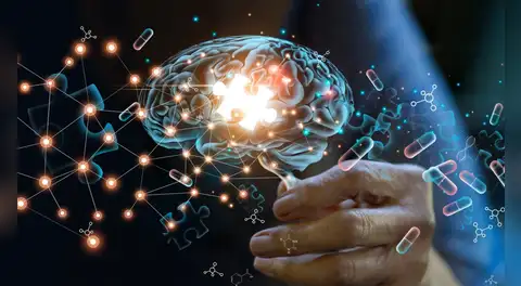 Una sustancia natural restauraría las funciones de la memoria afectadas por el Alzheimer: fue identificada en el cuerpo humano