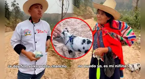 Cocinero ofrece S/500 a adulta mayor por su chanchito en Piura, pero se niega a venderlo: "Es mi niñita"