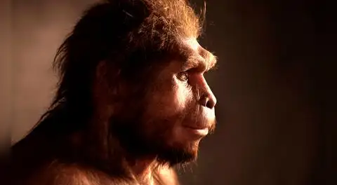 El homo erectus no fue la primera especie en abandonar África