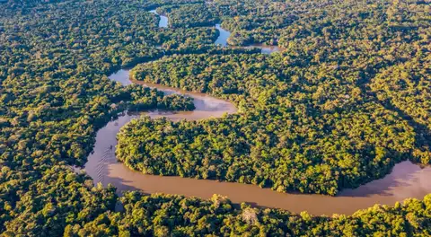Elecciones 2026: elijamos el cuidado de la vida y la naturaleza, por cardenal Pedro Barreto Jimeno
