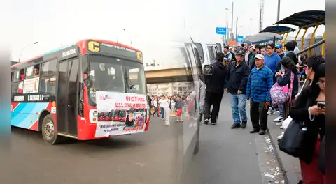 Nuevo paro de transportistas el 14 de enero: estas son las líneas de transporte que no saldrán a trabajar