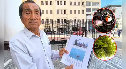 Maricultores exigen presupuesto para proyectos productivos en el mar de San José