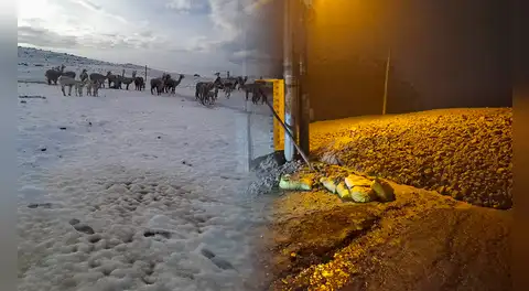 Huaicos y nevadas afectan diferentes zonas de la región Arequipa: cancelan vuelos por neblina