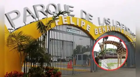 Parque de las Leyendas actualiza tarifas 2026: cuánto costará ingresar a sus sedes San Miguel y Huachipa