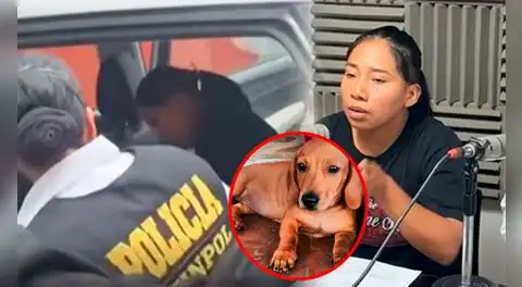Joven rescata a un perro abandonado en Moquegua y termina detenida por la policía tras ser acusada de robo