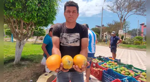“Preferimos vender en el mercado local": agricultores denuncian precios injustos del mango en Lambayeque
