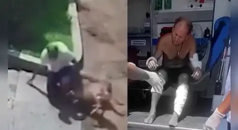 Hombre queda gravemente herido tras ser atacado por dos perros en Pachacámac cuando volvía a su casa