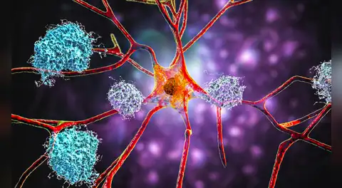 Científicos de Harvard confirman que el litio podría tener un papel crucial en la prevención y posible reversión del Alzheimer