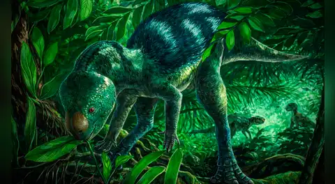 Científicos descubren una nueva especie de dinosaurio de hace 125 millones de años en España: sería tan pequeño como un perro