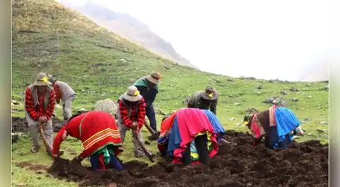 Olas de calor golpean el empleo y amenazan ingresos de 4 millones de trabajadores: las actividades más críticas