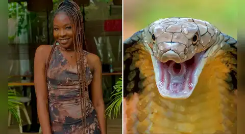 Estrella de ‘La voz Nigeria’ muere a los 26 años tras ser mordida por serpiente mientras dormía