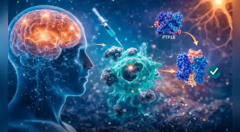 Científicos de EE.UU. descubren un nuevo método clave para retrasar la pérdida de memoria en pacientes con Alzheimer