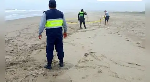 Niña desaparecida es hallada muerta en playa Bellavista de Supe: habría sido agredida sexualmente