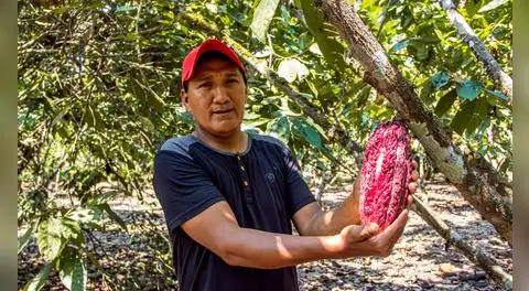 MIDAGRI: Perú superó los US$15.000 millones en agroexportaciones al cierre del 2025