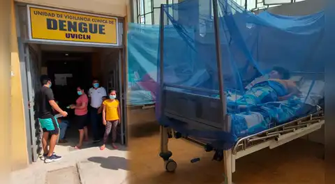 Lambayeque reporta 86 casos de dengue en este año: 2 menores están hospitalizados