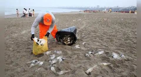 Defensoría rechaza cierre temporal de playa Agua Dulce: “Son bienes de dominio público”