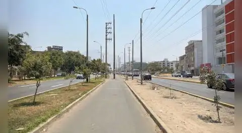 Lima, la ciudad con menos árboles de Sudamérica: casi cinco veces menos áreas verdes de lo que necesita