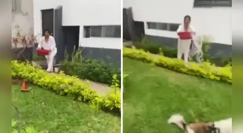 Mujer lanza agua con lejía a joven que paseaba a sus perros en parque de La Molina: “No le gusta que los animales pasen frente a su casa”