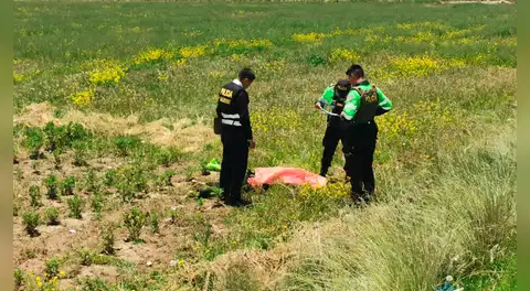 Encuentran sin vida a un hombre en sembrío de papas en Juliaca: investigan presunto atropello