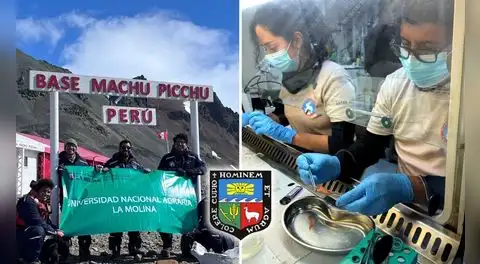 Investigadores peruanos de la UNALM llegan a la Antártida para buscar compuestos anticancerígenos en una misión científica única