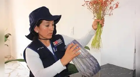 Minsa presenta Plan de Prevención y Control del Dengue 2026 ante alerta epidemiológica: ¿Cómo evitar el dengue?