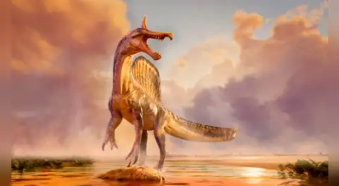 Un descubrimiento “maravilloso” en el Sáhara: una nueva especie de dinosaurio de 13 metros con una cresta de colores