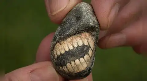 Descubren fósil "sonriente" de 350 millones de años en una isla de Inglaterra que revela la existencia de un antiguo animal marino