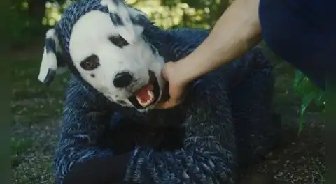 'Good Boy', la rara película que adelantó el fenómeno 'therian', sobre un hombre que vive como un perro