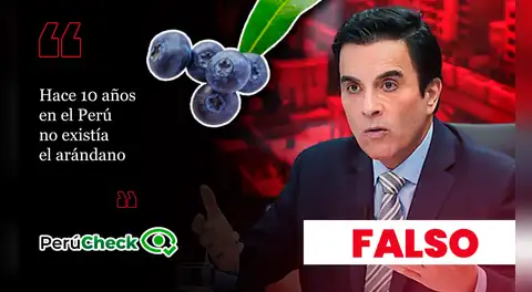 ¿Hace diez años no existían los arándanos? Es falso lo que dijo el candidato Carlos Espá