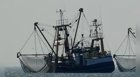 Perú propone reglas para impedir sobrepesca  de la pota por parte de flotas extranjeras