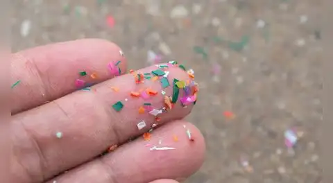 Estudio vincula la presencia de microplásticos en tumores de próstata con un mayor riesgo de desarrollar cáncer