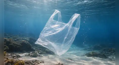 Científicos crean un plástico transparente hecho con plantas capaz de reducir la contaminación marina sin dejar residuos tóxicos