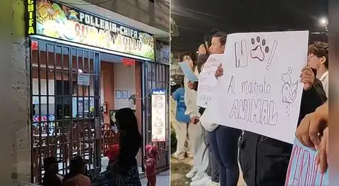Investigan a dueña de pollería por muerte de perrita callejera en Ayacucho: habría sido atacada con arma blanca tras buscar alimentos