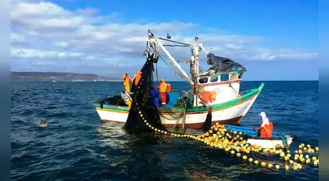 Produce refuerza control de pesca de jurel y bonito para proteger recursos marinos