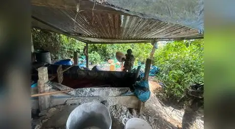 Desmantelan 155 narco laboratorios en distintas regiones del país